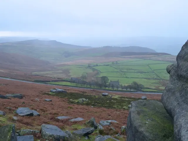 Pursue journeys beyond the digital realm and consider a career in the military: This is the advice...