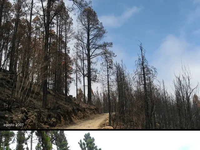 Geological Physics (Study of Earth's Physical Properties)