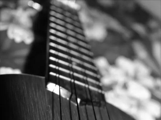 Prospective Candidates for Degree in Historical Music Performance (MMHP)