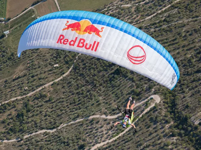 In this image we can see a person flying with the help of a parachute, there are some trees, houses...