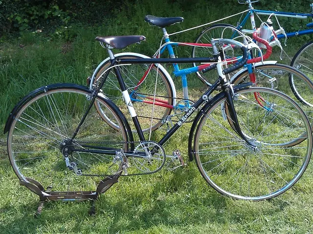 In this picture there are bicycles in the center of the image, on the grassland and there are...