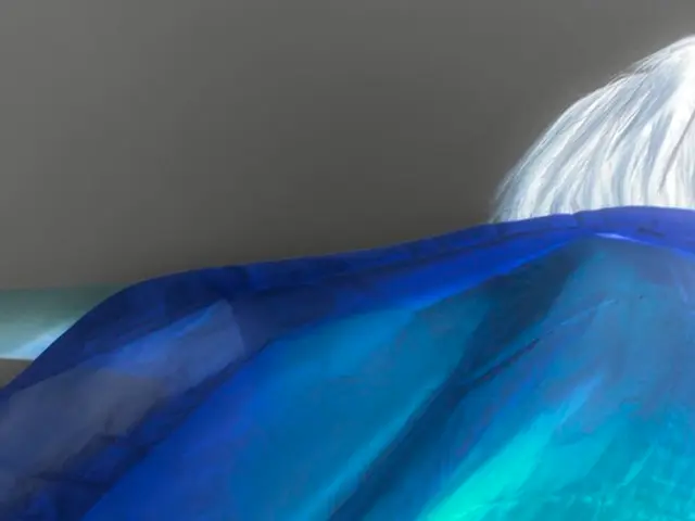 In this picture I can see a woman and cloth.