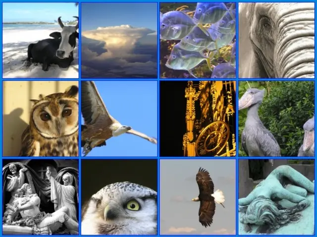 This is a Collage picture of few animals among them few are cow, zebra, owl and few sculptures.